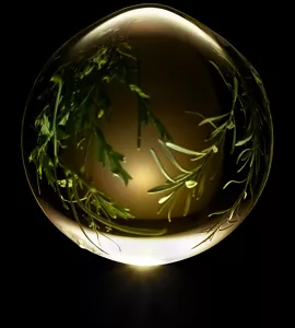Translucent orb with a golden hue and delicate green leaves inside, set against a dark background